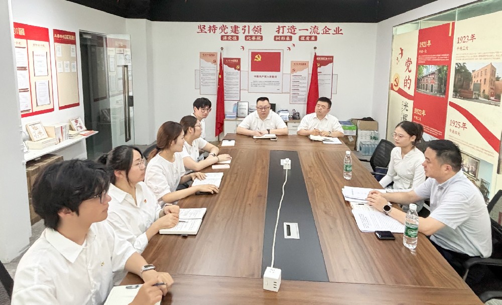 黨建引領聚合力，清風護航促發(fā)展——市委網(wǎng)信辦副主任杜巍蒞臨我司指導學習