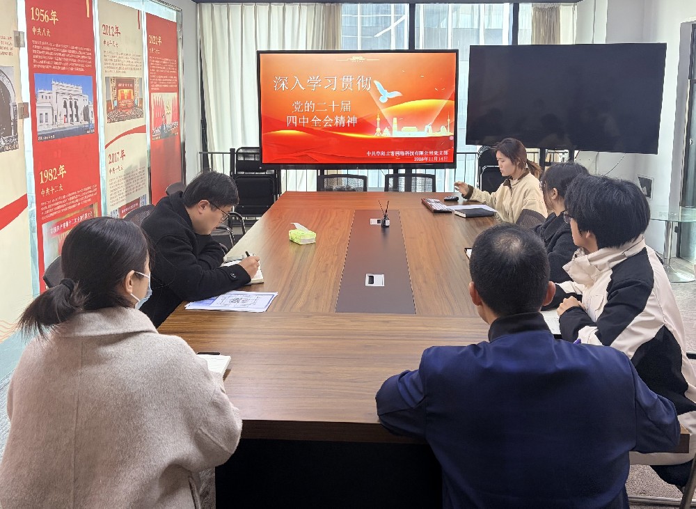 學深悟透做實全會精神 爭做“十五五”時代“造風者”